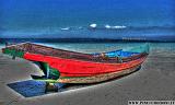 73 Andamane - Havelock Island 04 - pinuccioedoni